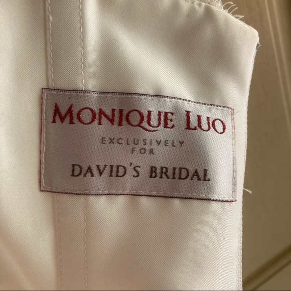 David’s Bridal Wedding Dress - Picture 12 of 12